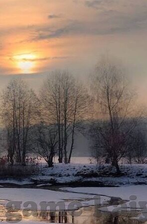 7月6日世界杯足球赛-7月6日世界杯足球赛，激情与荣耀的碰撞