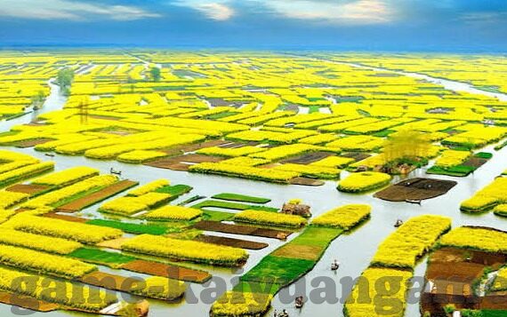 太古仙尊下载九游-探寻仙境之旅——太古仙尊下载九游